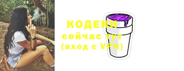 соль ск Няндома