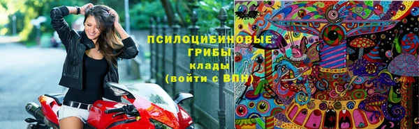 соль ск Няндома