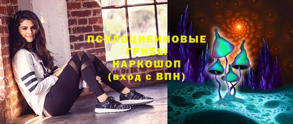 прущие грибы Нязепетровск