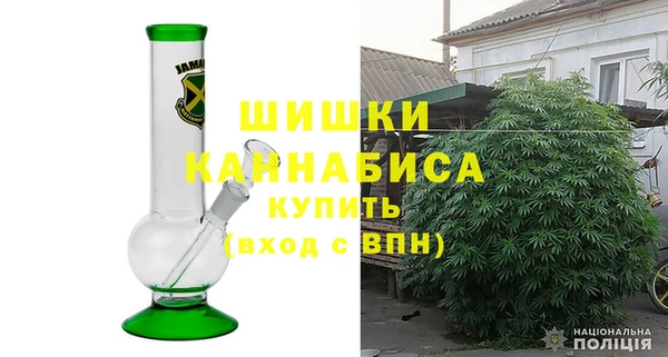 прущие грибы Нязепетровск