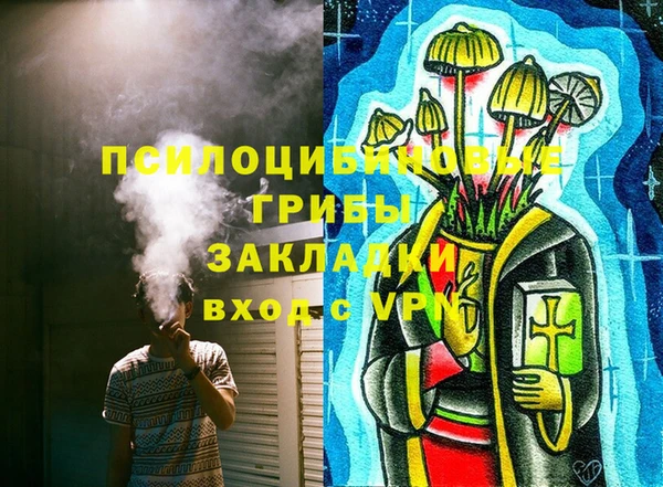 прущие грибы Нязепетровск