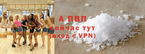 соль ск Няндома