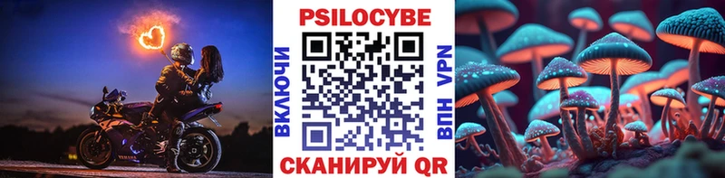 mega ТОР  Кизел  Псилоцибиновые грибы мухоморы  купить  цена 